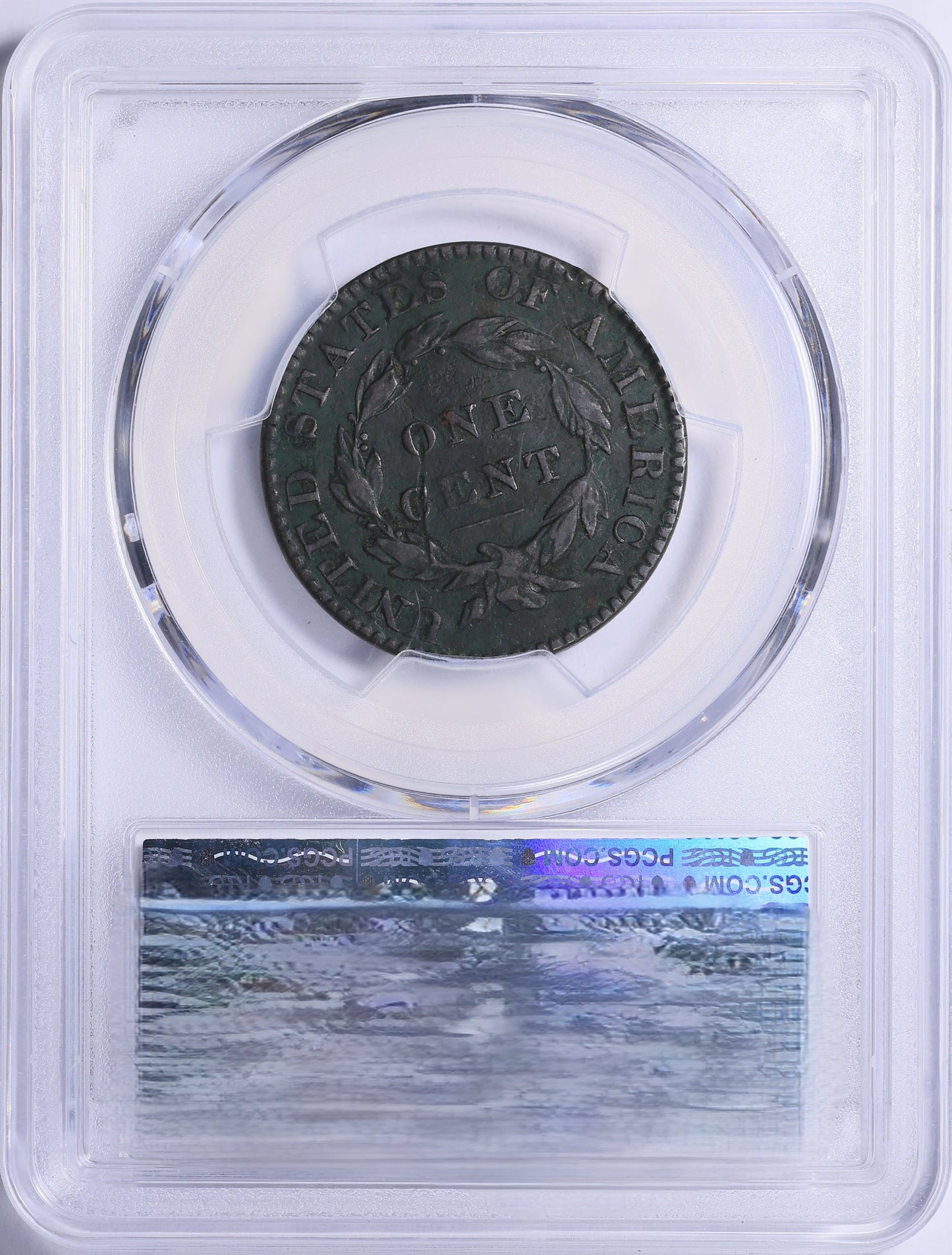 1822 Matron Head Large Cent PCGS Genuine VF Details Early U.S. Copper Coin