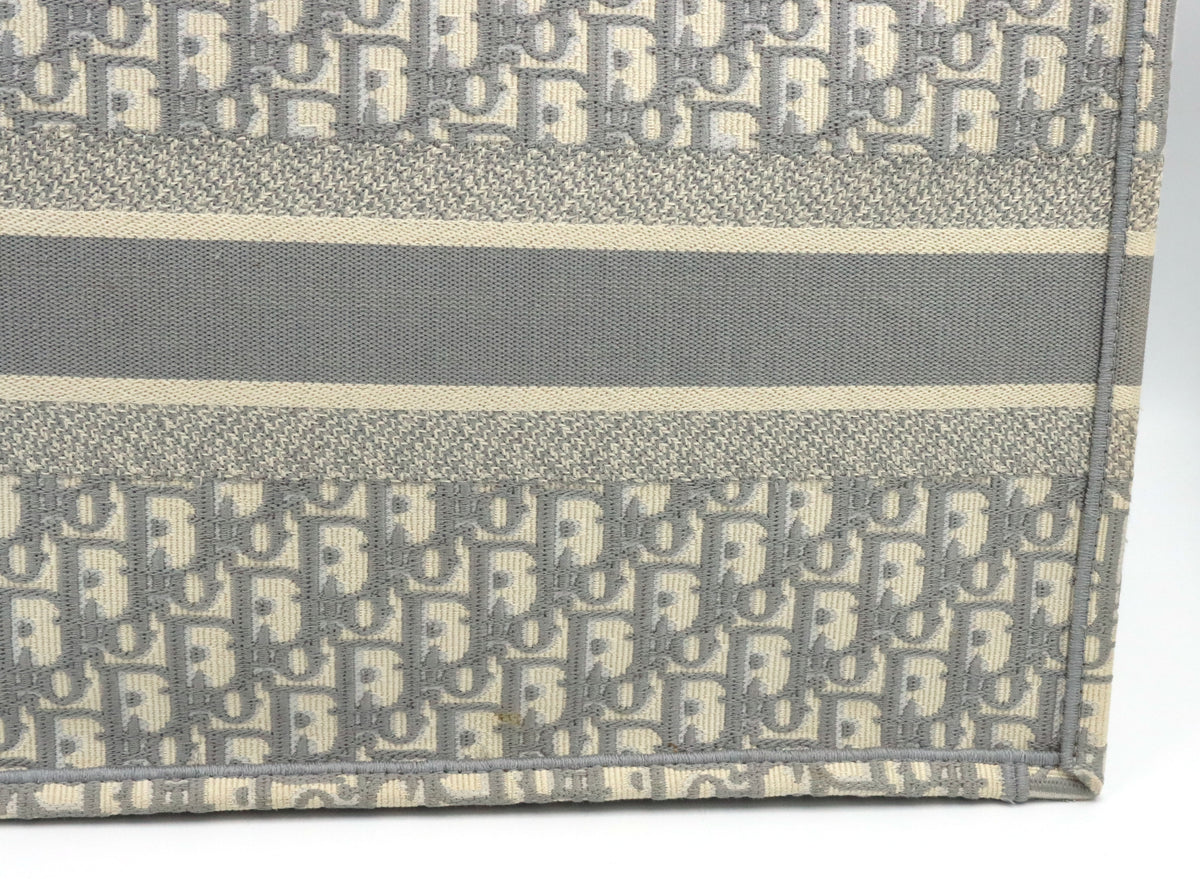 Christian Dior Canvas book tote