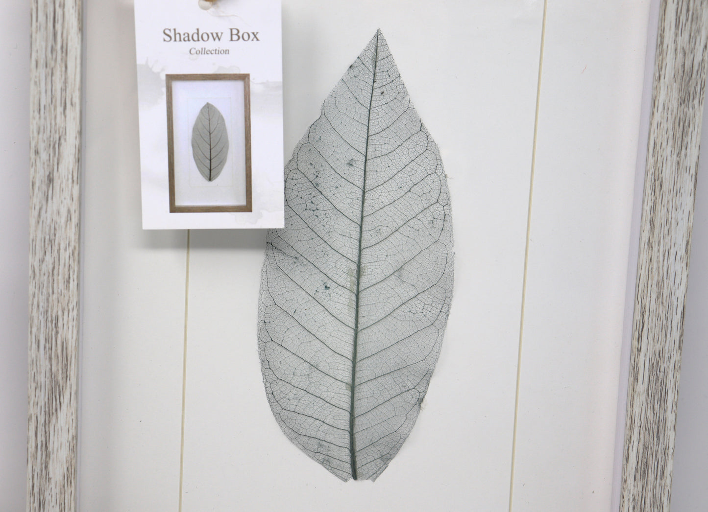 Leaf Shadow Box Collection