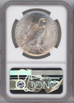 1922 Peace Silver Dollar NGC MS64 Near Gem BU | Brilliant Luster