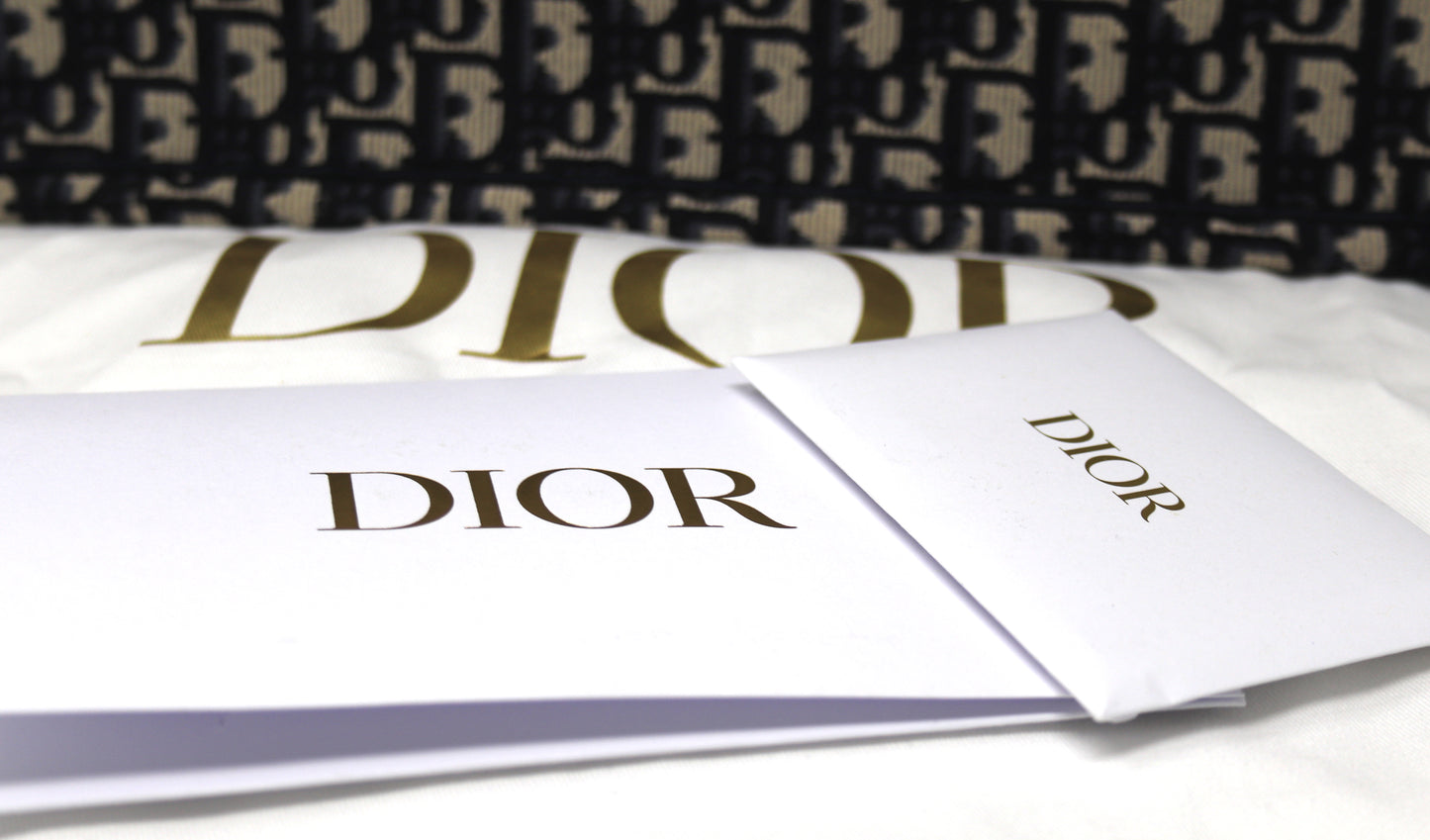 Brand new Christian Dior book tote