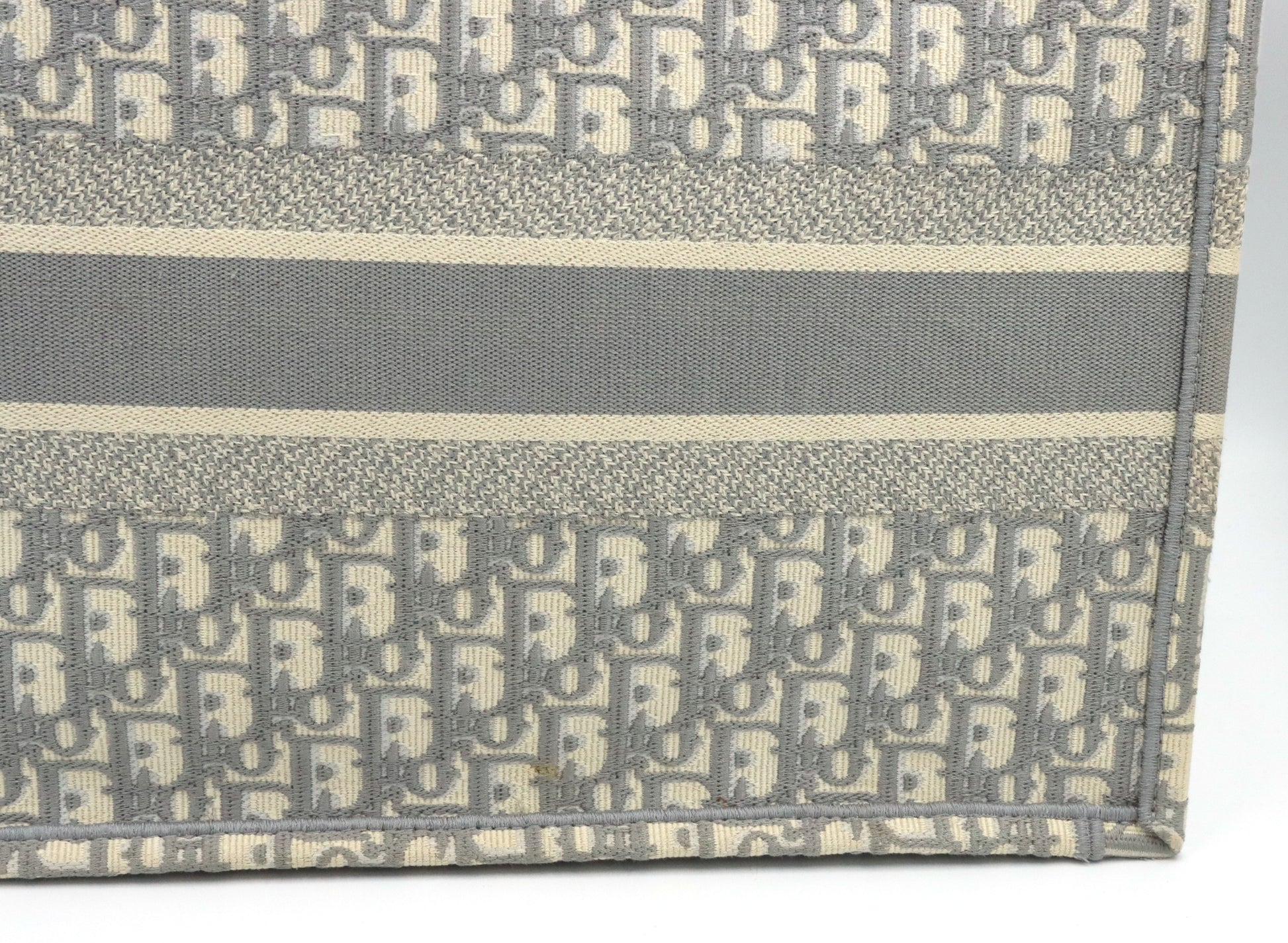 Christian Dior Canvas book tote