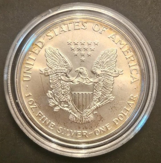 1999 Colorized American Silver Eagle $1 Coin with Box and COA 1 oz .999 Fine Silver