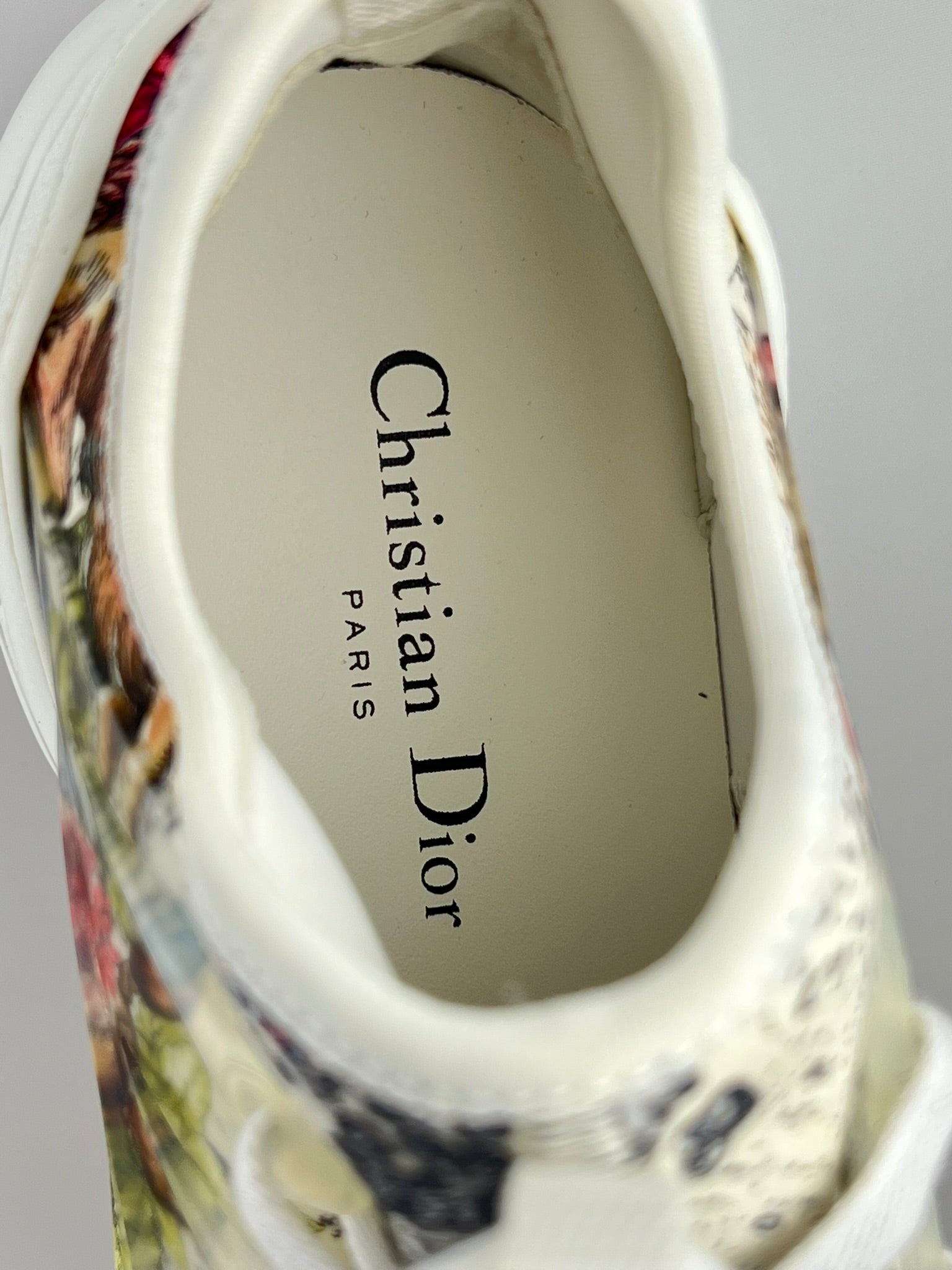 Christian Dior D Connect Zodiac Printed Brand Sneaker