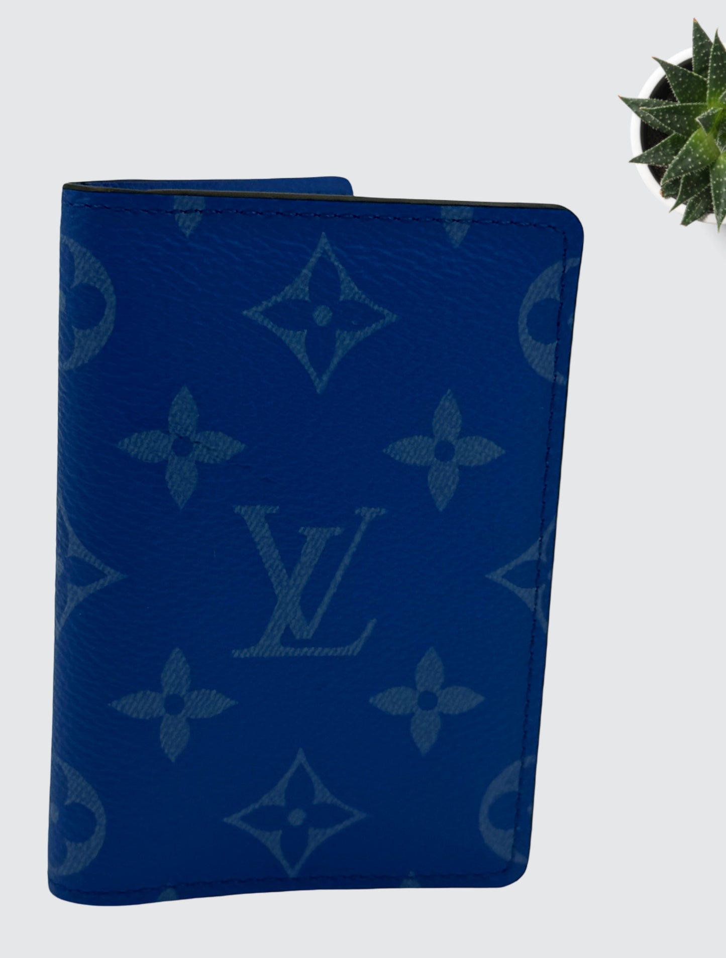 Louis Vuitton Taigarama pocket organizer wallet